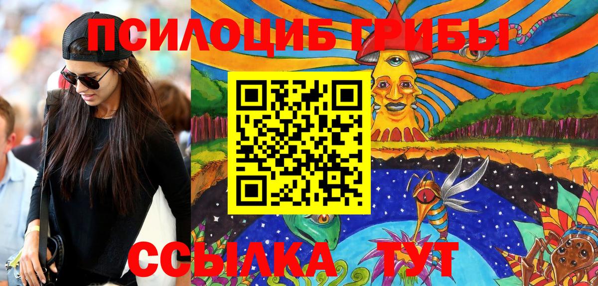 Каменка  Псилоцибиновые грибы MAGIC MUSHROOMS  Вход с VPN 